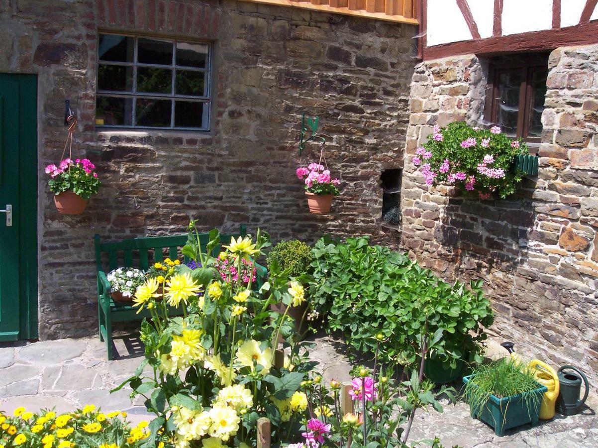 Morsbach  Mia Casa 아파트 외부 사진